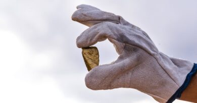 Descubren un yacimiento de 84 millones de toneladas de oro en la Argentina Descubren un yacimiento de 84 millones de toneladas de oro en la Argentina