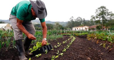 Plaguicidas prohibidas en Bolivia y otros países de la Comunidad Andina serán retiradas con apoyo digital Plaguicidas prohibidas en Bolivia y otros países de la Comunidad Andina serán retiradas con apoyo digital